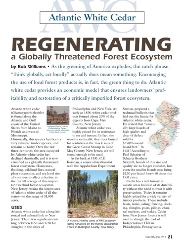 Atlantic White Cedar Story- regeneration.pdf